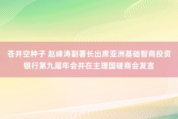 苍井空种子 赵峰涛副署长出席亚洲基础智商投资银行第九届年会并在主理国磋商会发言
