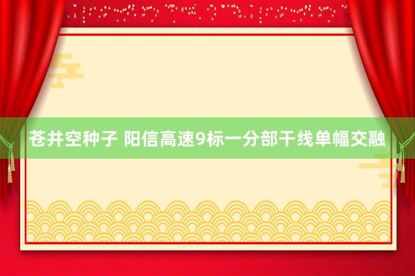 苍井空种子 阳信高速9标一分部干线单幅交融
