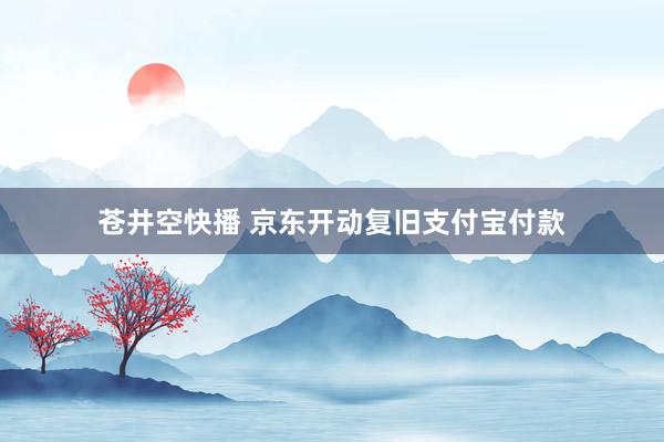 苍井空快播 京东开动复旧支付宝付款