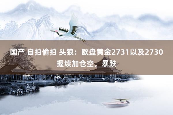 国产 自拍偷拍 头狼：欧盘黄金2731以及2730握续加仓空，暴跌
