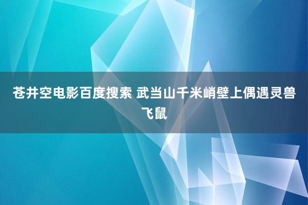 苍井空电影百度搜索 武当山千米峭壁上偶遇灵兽飞鼠