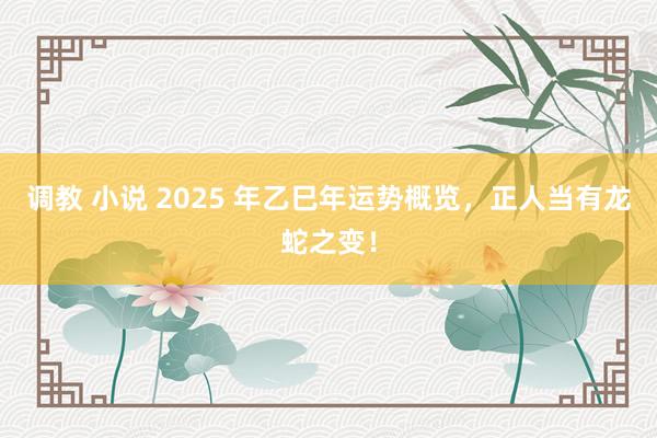调教 小说 2025 年乙巳年运势概览，正人当有龙蛇之变！