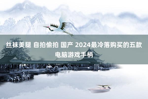 丝袜美腿 自拍偷拍 国产 2024最冷落购买的五款电脑游戏手柄