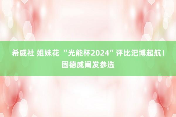希威社 姐妹花 “光能杯2024”评比汜博起航！固德威阐发参选