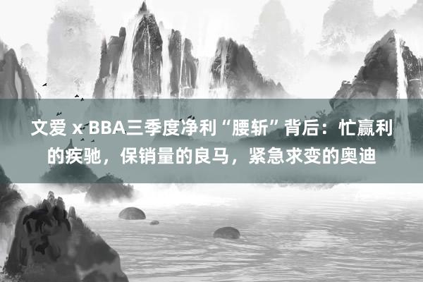 文爱 x BBA三季度净利“腰斩”背后：忙赢利的疾驰，保销量的良马，紧急求变的奥迪