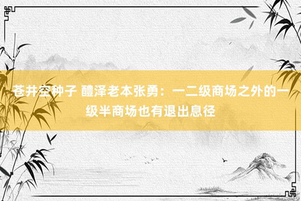 苍井空种子 醴泽老本张勇：一二级商场之外的一级半商场也有退出息径