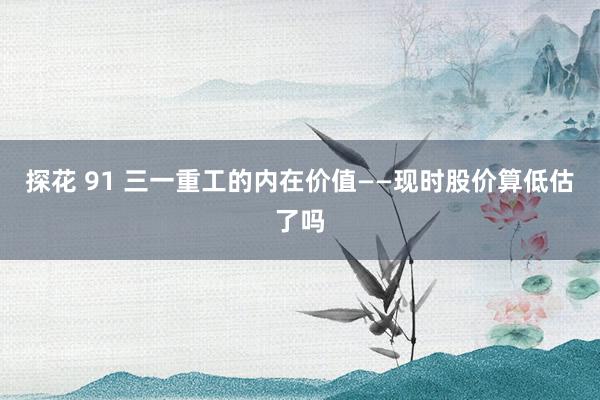 探花 91 三一重工的内在价值——现时股价算低估了吗