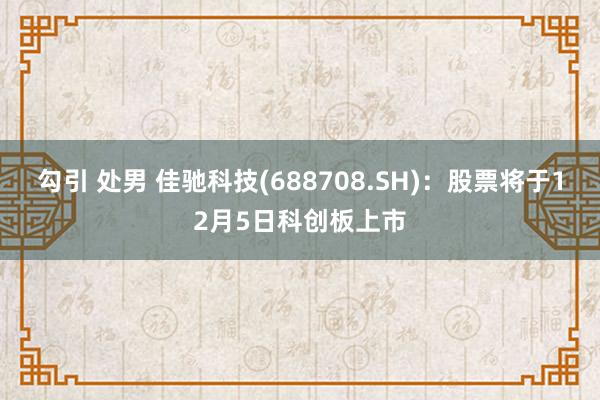 勾引 处男 佳驰科技(688708.SH)：股票将于12月5日科创板上市