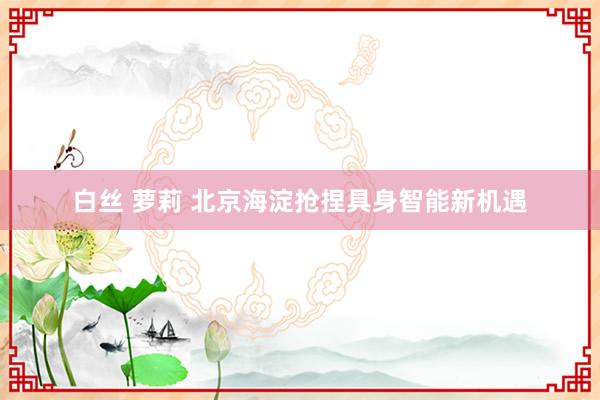 白丝 萝莉 北京海淀抢捏具身智能新机遇