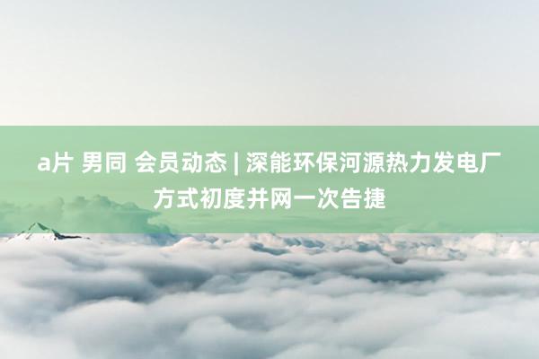 a片 男同 会员动态 | 深能环保河源热力发电厂方式初度并网一次告捷