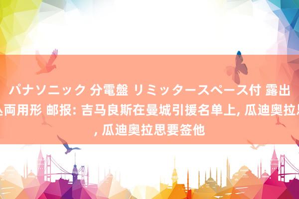 パナソニック 分電盤 リミッタースペース付 露出・半埋込両用形 邮报: 吉马良斯在曼城引援名单上, 瓜迪奥拉思要签他