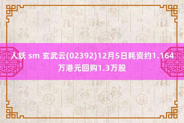 人妖 sm 玄武云(02392)12月5日耗资约1.164万港元回购1.3万股