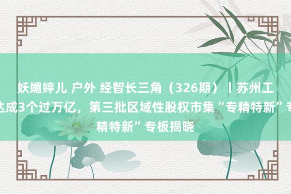 妖媚婷儿 户外 经智长三角（326期）丨苏州工业园区达成3个过万亿，第三批区域性股权市集“专精特新”专板揭晓