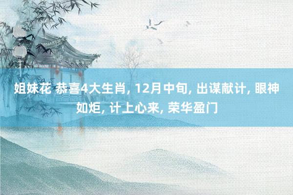 姐妹花 恭喜4大生肖, 12月中旬, 出谋献计, 眼神如炬, 计上心来, 荣华盈门