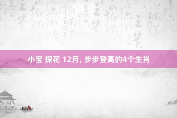 小宝 探花 12月, 步步登高的4个生肖