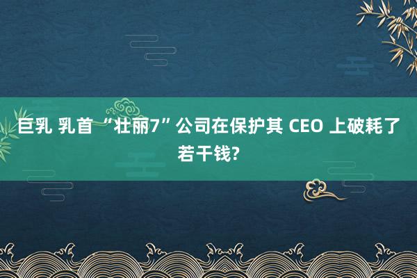 巨乳 乳首 “壮丽7”公司在保护其 CEO 上破耗了若干钱?