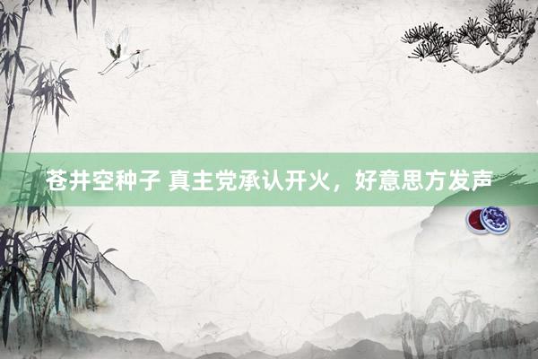苍井空种子 真主党承认开火，好意思方发声