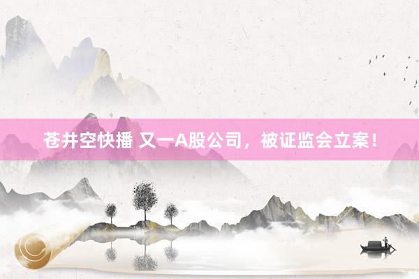 苍井空快播 又一A股公司，被证监会立案！