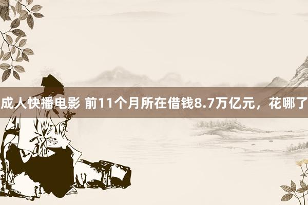 成人快播电影 前11个月所在借钱8.7万亿元，花哪了