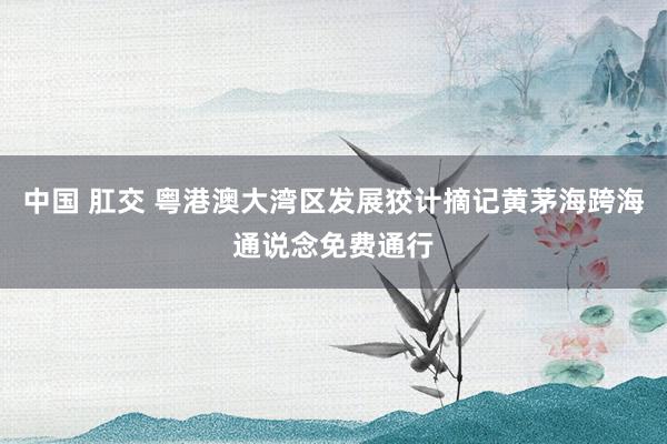 中国 肛交 粤港澳大湾区发展狡计摘记黄茅海跨海通说念免费通行