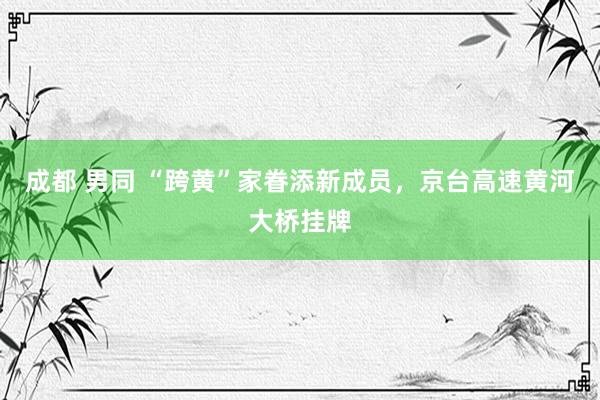成都 男同 “跨黄”家眷添新成员，京台高速黄河大桥挂牌