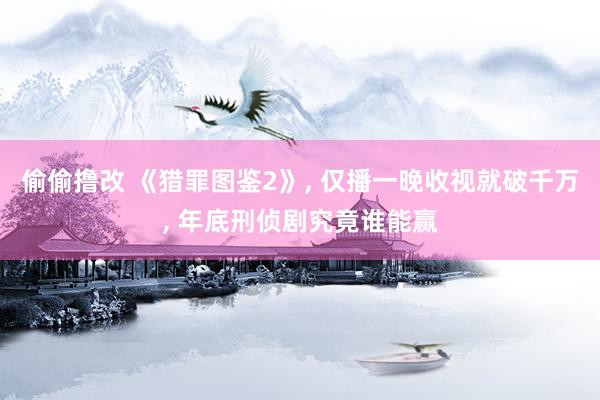 偷偷撸改 《猎罪图鉴2》, 仅播一晚收视就破千万, 年底刑侦剧究竟谁能赢