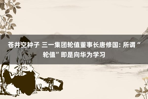 苍井空种子 三一集团轮值董事长唐修国: 所谓“轮值”即是向华为学习