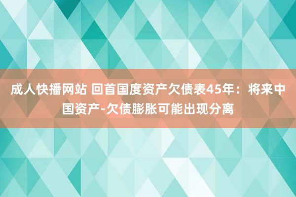 成人快播网站 回首国度资产欠债表45年：将来中国资产-欠债膨胀可能出现分离