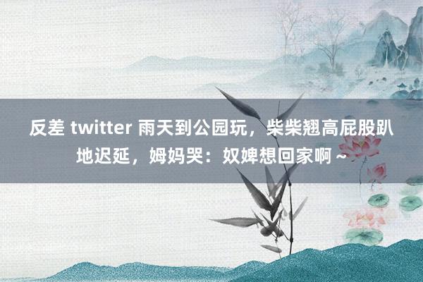 反差 twitter 雨天到公园玩，柴柴翘高屁股趴地迟延，姆妈哭：奴婢想回家啊～