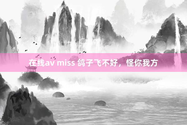 在线av miss 鸽子飞不好，怪你我方