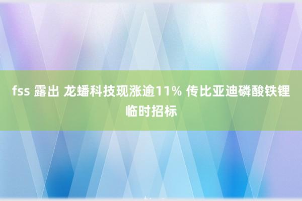 fss 露出 龙蟠科技现涨逾11% 传比亚迪磷酸铁锂临时招标