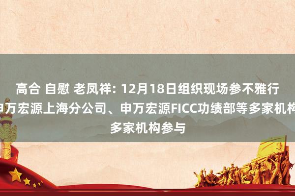 高合 自慰 老凤祥: 12月18日组织现场参不雅行为, 申万宏源上海分公司、申万宏源FICC功绩部等多家机构参与