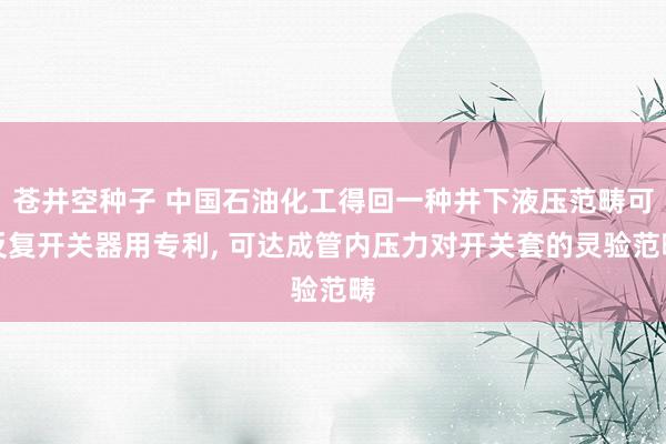 苍井空种子 中国石油化工得回一种井下液压范畴可反复开关器用专利, 可达成管内压力对开关套的灵验范畴
