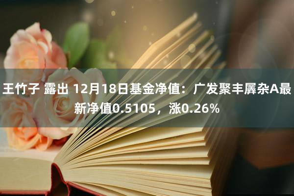 王竹子 露出 12月18日基金净值：广发聚丰羼杂A最新净值0.5105，涨0.26%