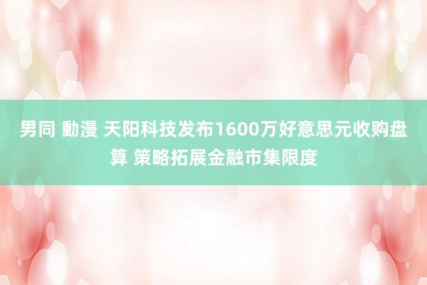 男同 動漫 天阳科技发布1600万好意思元收购盘算 策略拓展金融市集限度