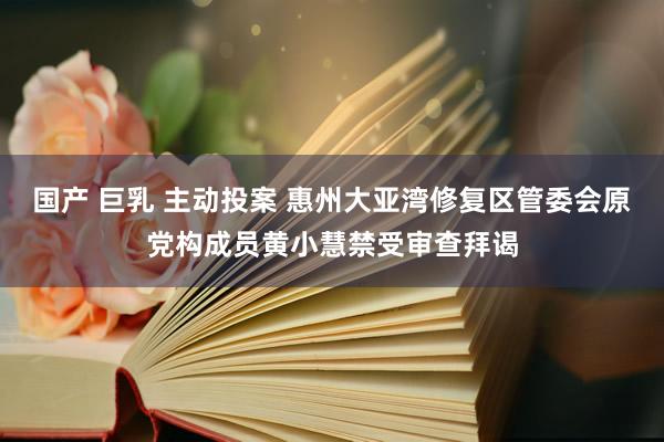 国产 巨乳 主动投案 惠州大亚湾修复区管委会原党构成员黄小慧禁受审查拜谒