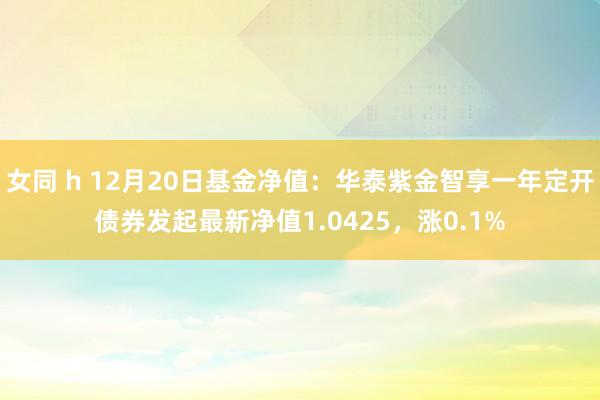 女同 h 12月20日基金净值：华泰紫金智享一年定开债券发起最新净值1.0425，涨0.1%