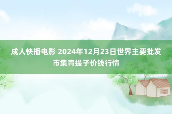 成人快播电影 2024年12月23日世界主要批发市集青提子价钱行情