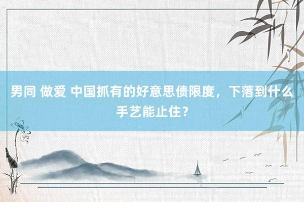 男同 做爱 中国抓有的好意思债限度，下落到什么手艺能止住？