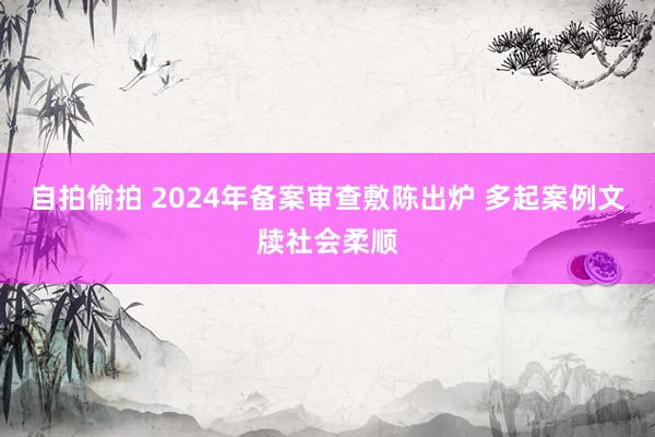 自拍偷拍 2024年备案审查敷陈出炉 多起案例文牍社会柔顺