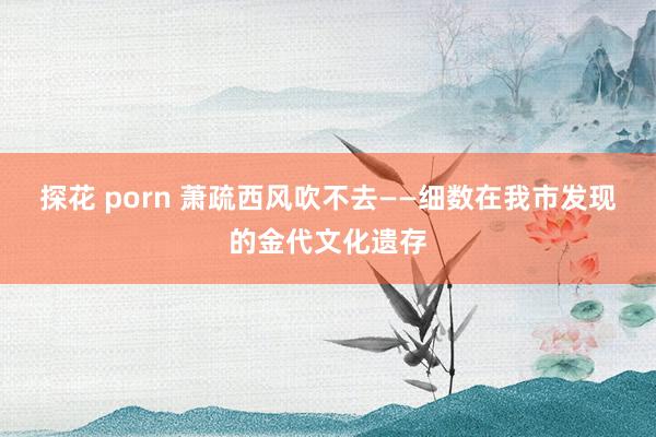 探花 porn 萧疏西风吹不去——细数在我市发现的金代文化遗存