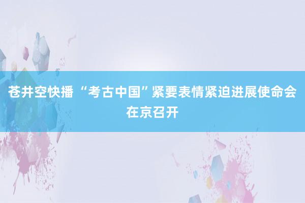 苍井空快播 “考古中国”紧要表情紧迫进展使命会在京召开