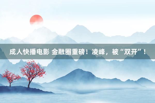 成人快播电影 金融圈重磅！凌峰，被“双开”！