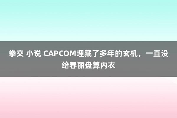 拳交 小说 CAPCOM埋藏了多年的玄机，一直没给春丽盘算内衣