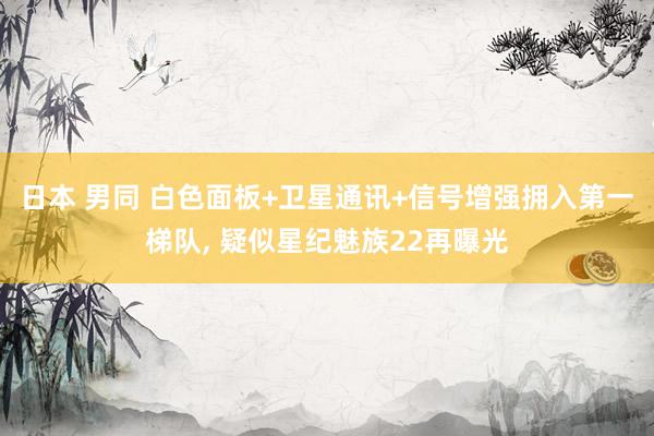 日本 男同 白色面板+卫星通讯+信号增强拥入第一梯队, 疑似星纪魅族22再曝光