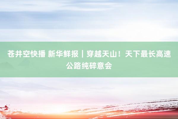 苍井空快播 新华鲜报｜穿越天山！天下最长高速公路纯碎意会