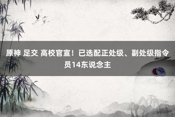 原神 足交 高校官宣！已选配正处级、副处级指令员14东说念主