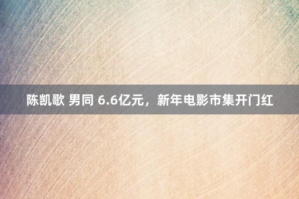 陈凯歌 男同 6.6亿元，新年电影市集开门红