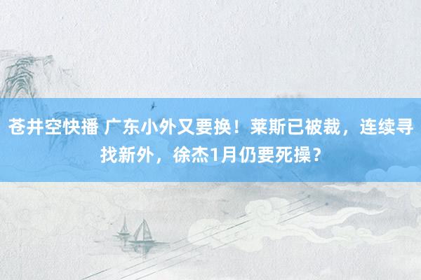 苍井空快播 广东小外又要换！莱斯已被裁，连续寻找新外，徐杰1月仍要死操？