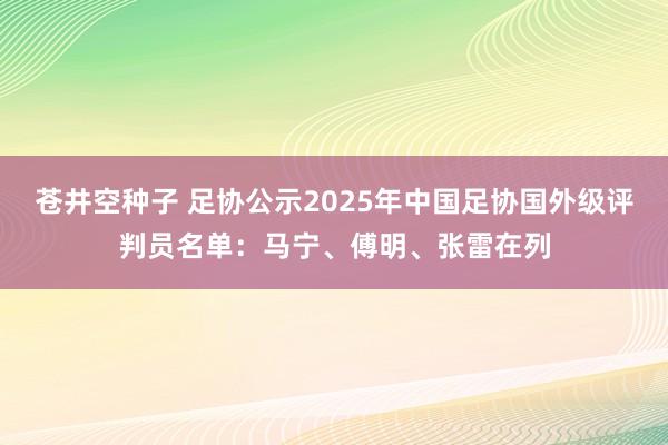 苍井空种子 足协公示2025年中国足协国外级评判员名单：马宁、傅明、张雷在列